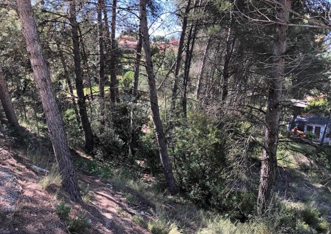 Terreno en venta en Castellgalí, Barcelona photo 5