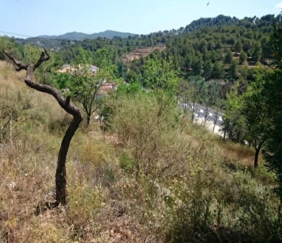 Land for sale in Castellbell and El Vilar, Barcelona photo 3