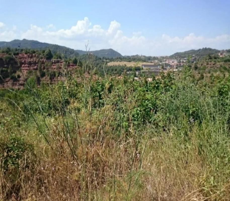 Land for sale in Castellbell and El Vilar, Barcelona photo 5