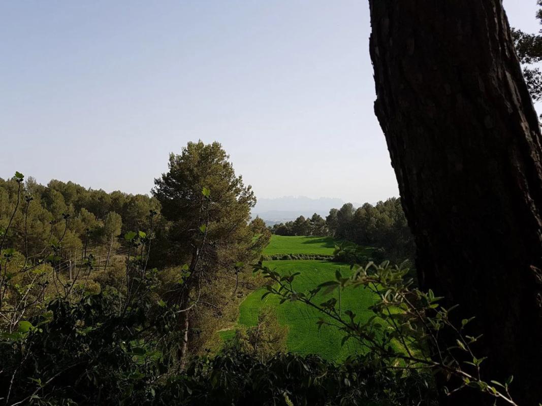 Terreno en venta en Castellnou de Bages, Barcelona photo 2
