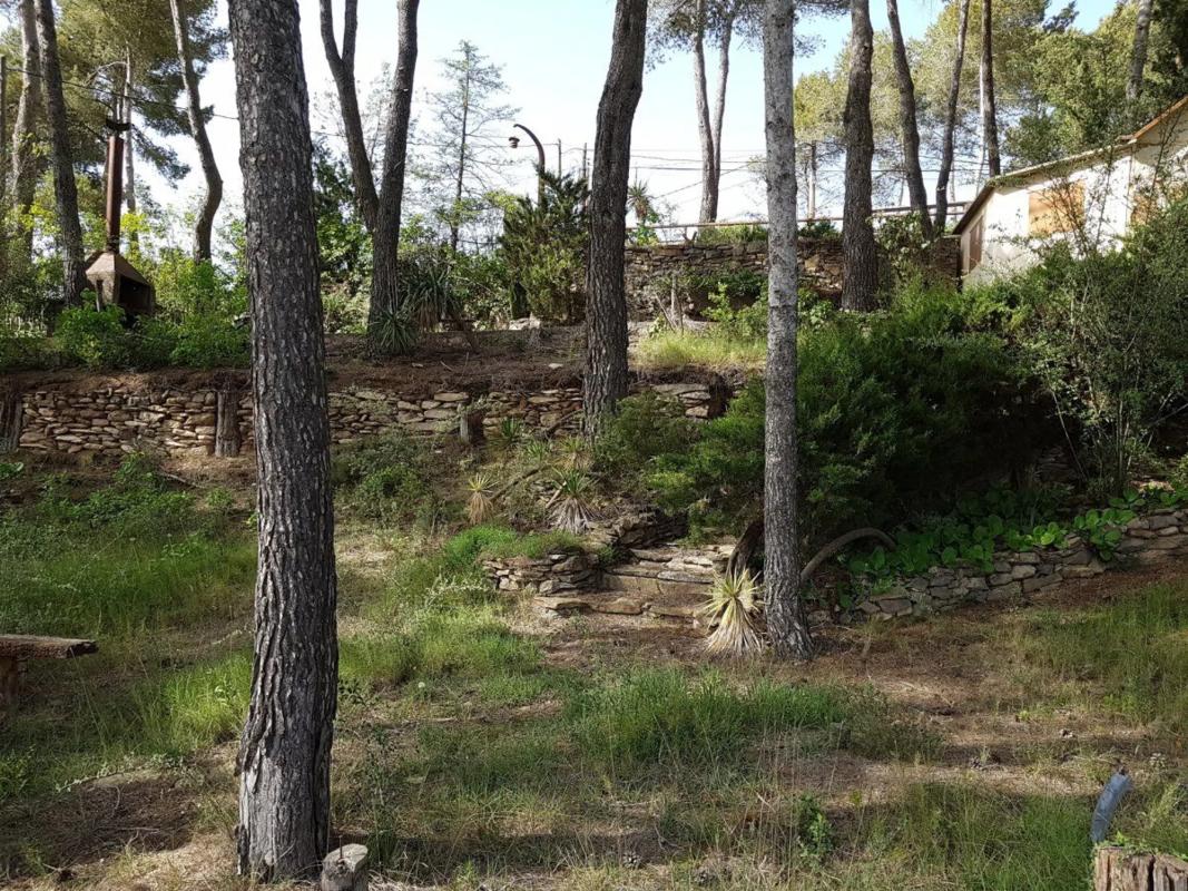 Terreno en venta en Castellnou de Bages, Barcelona photo 5