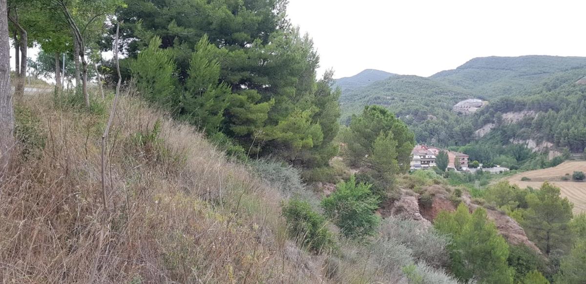 Terreno en venta en Súria, Barcelona photo 2