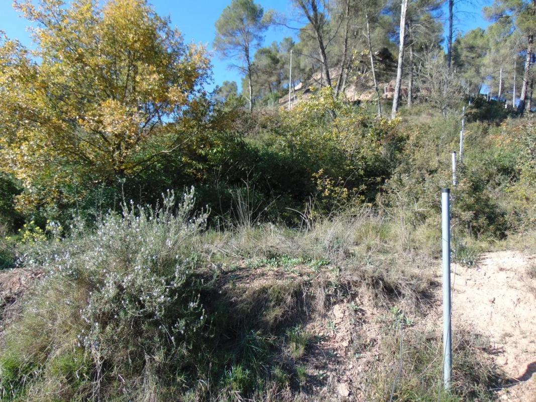 Terreno en venta en Fonollosa, Barcelona photo 1