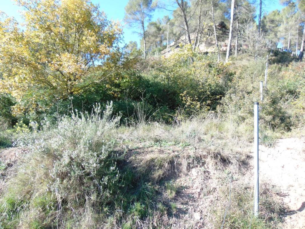 Terreno en venta en Fonollosa, Barcelona photo 3