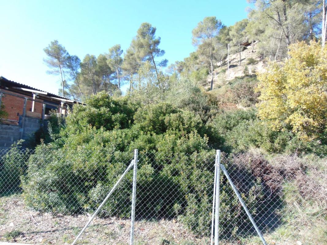 Terreno en venta en Fonollosa, Barcelona photo 5