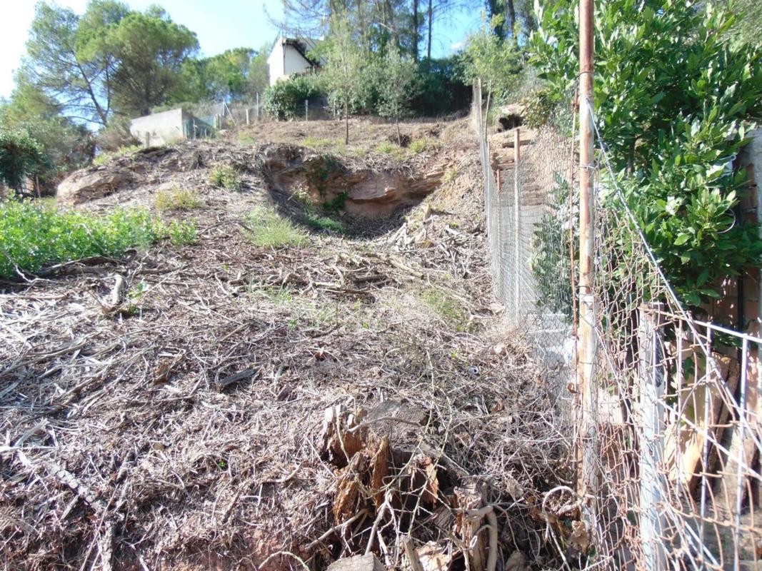 Land for sale in Fonollosa, Barcelona photo 2