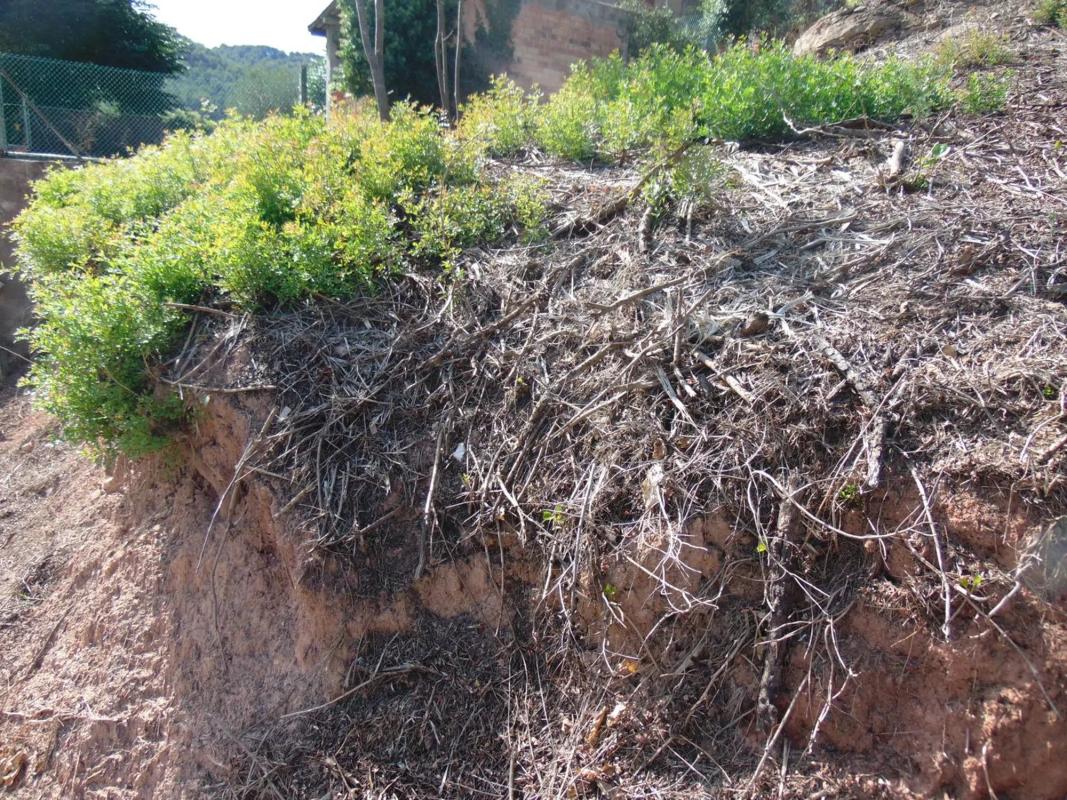 Land for sale in Fonollosa, Barcelona photo 3