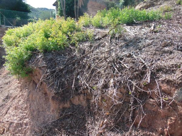 Terreno en calle Ferradura, 17 thumbnail 2