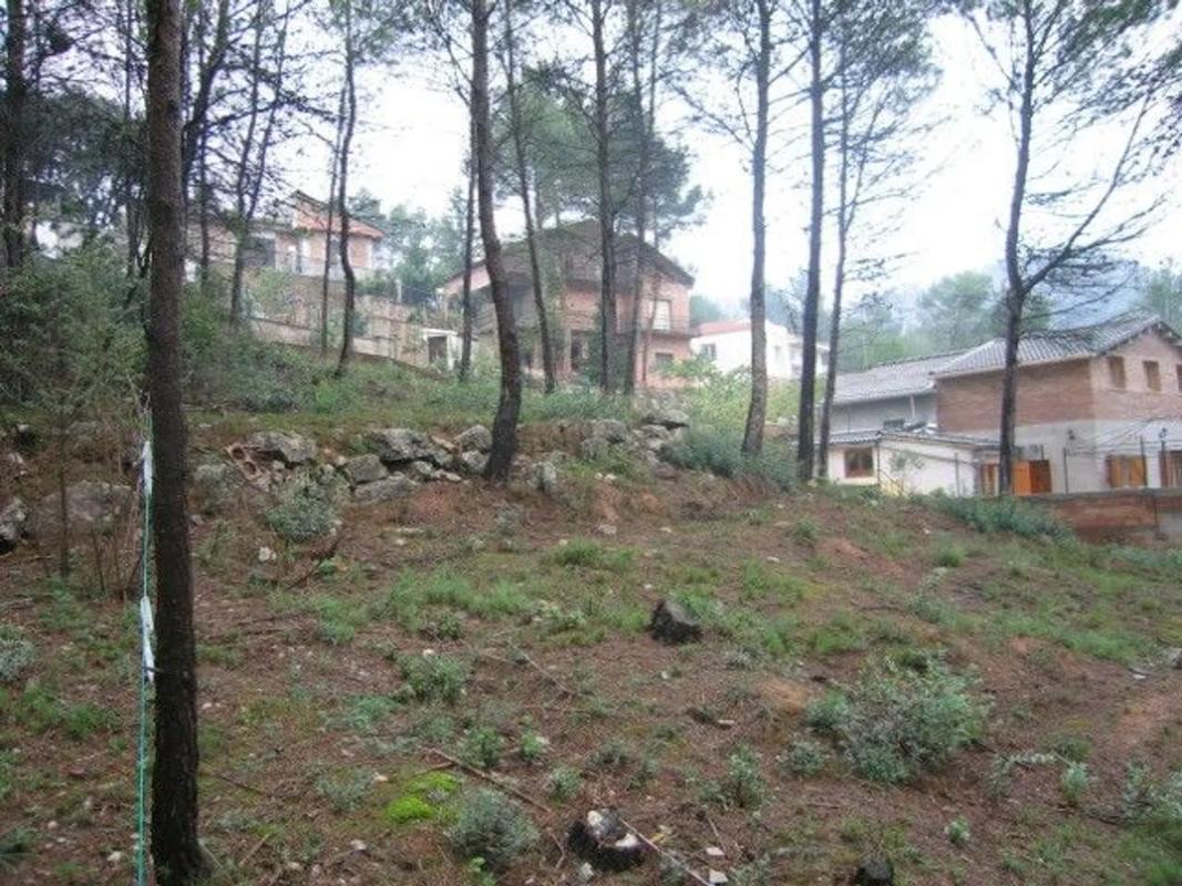 Działka na sprzedaż w Castellnou de Bages, Barcelona photo 5