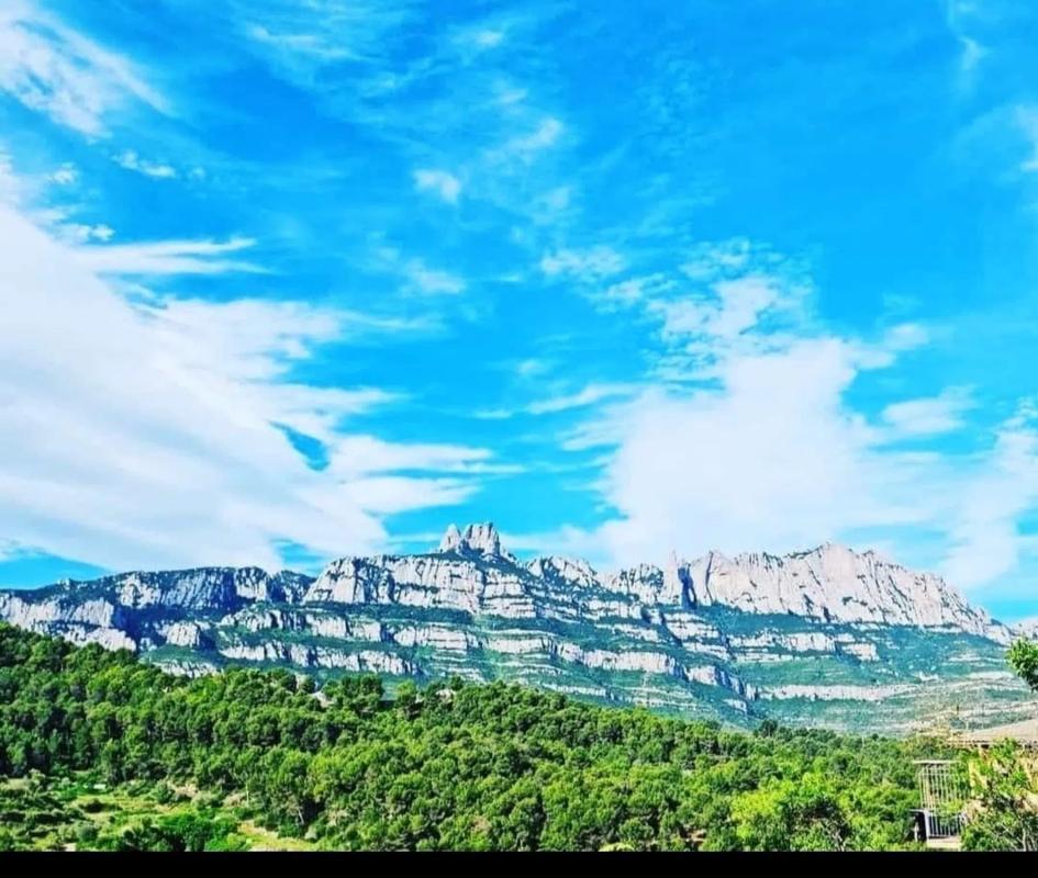 Działka na sprzedaż w Castellbell i el Vilar, Barcelona photo 1