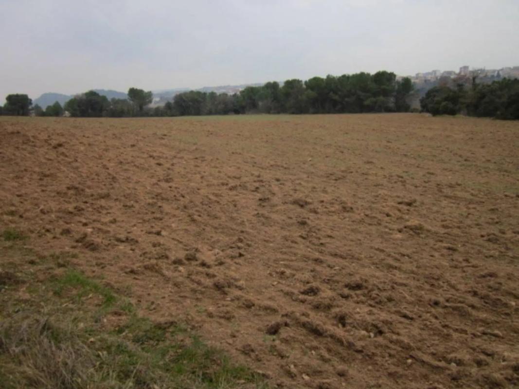 Land for sale in Gaià, Barcelona photo 1