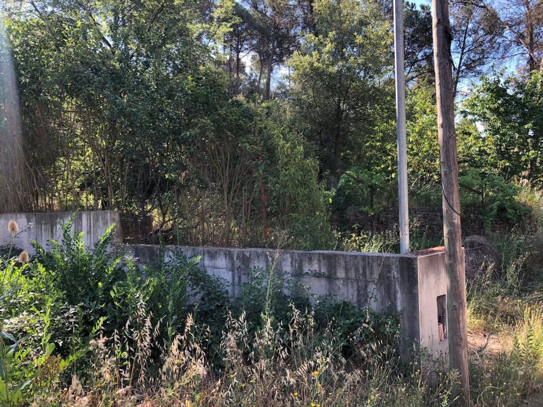 Terreno en venta en Castellnou de Bages, Barcelona photo 4