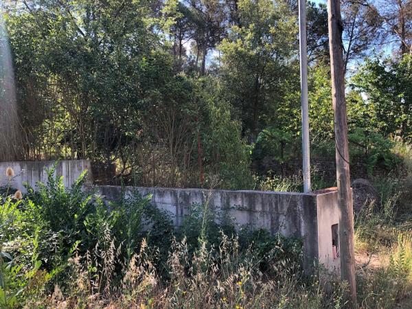 Terreno en Castellnou de Bages photo 4