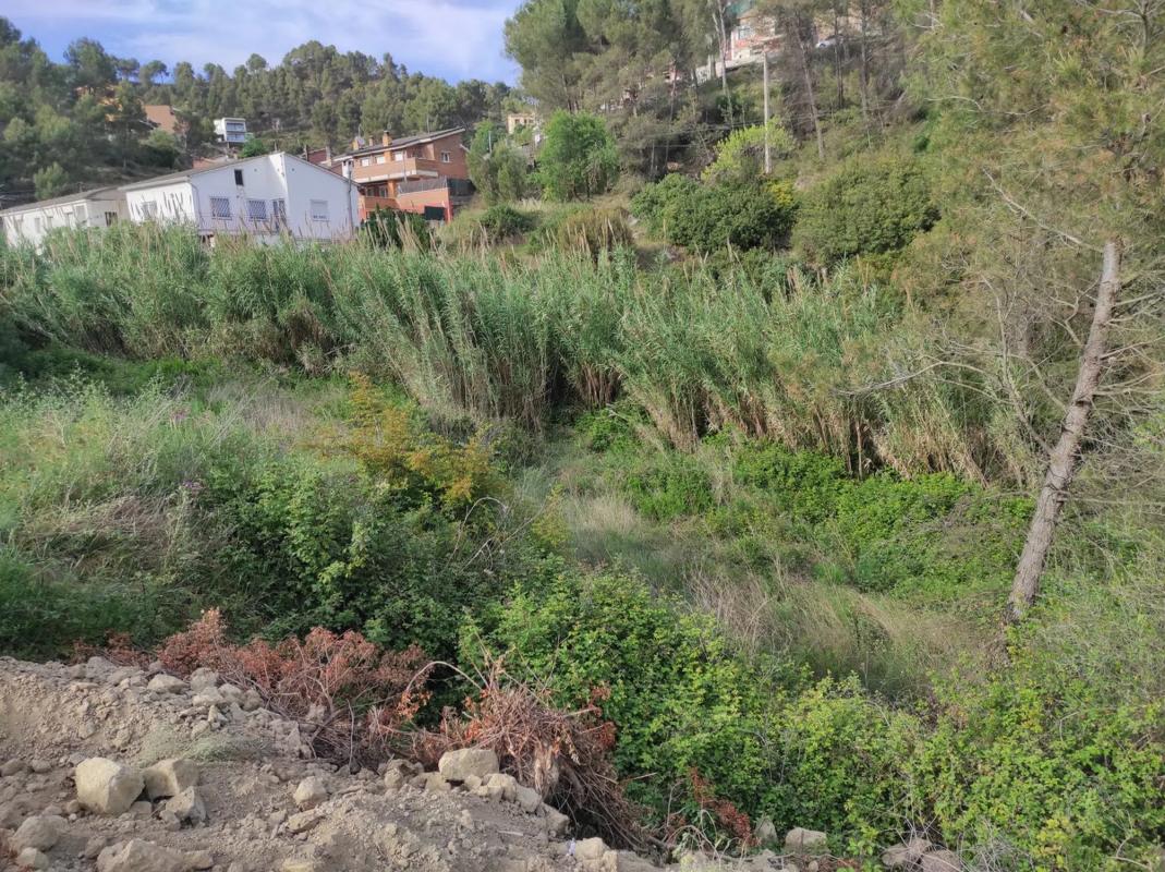 Terreno en venta en Castellgalí, Barcelona photo 2