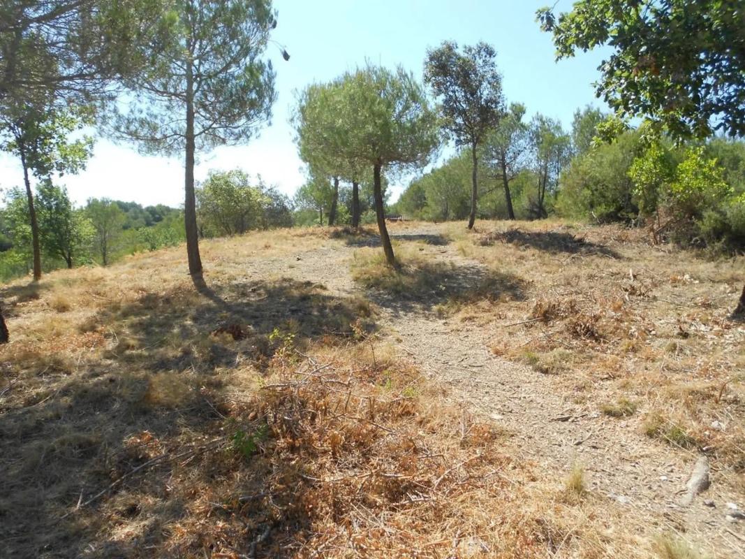 Terreno en venta en El Pont de Vilomara i Rocafort, Barcelona photo 3