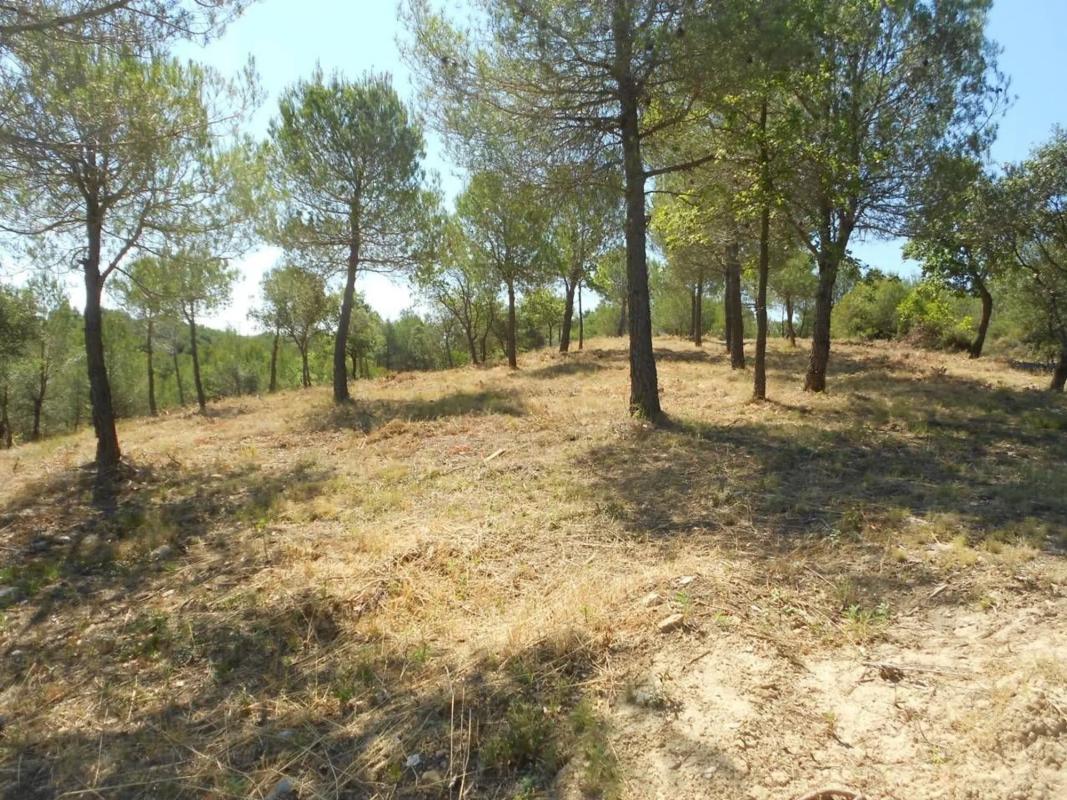 Terreno en venta en El Pont de Vilomara i Rocafort, Barcelona photo 4