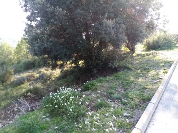 Terreno en calle de la Constitució, 8 photo 1