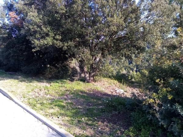 Terreno en calle de la Constitució, 8 thumbnail 1