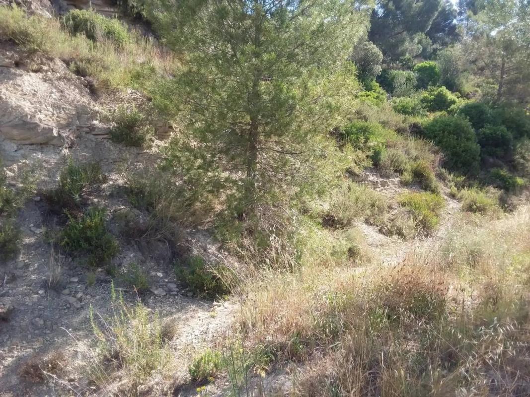 Terreno en venta en El Pont de Vilomara i Rocafort, Barcelona photo 3