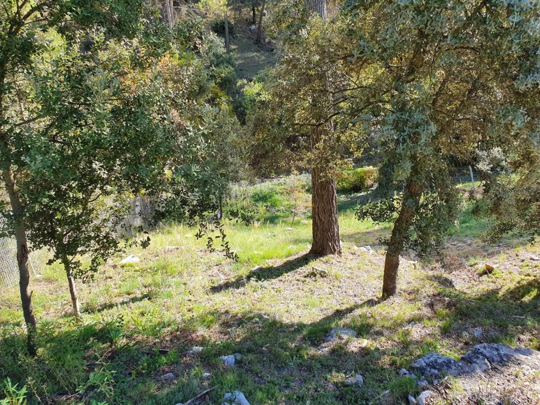 Terreno en venta en Castellnou de Bages, Barcelona photo 4