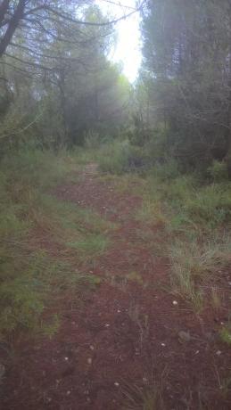 Terreno en Ca L'Esteve s/n photo 4