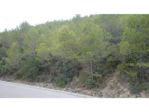 Terreno en El Pont de Vilomara i Rocafort thumbnail 1