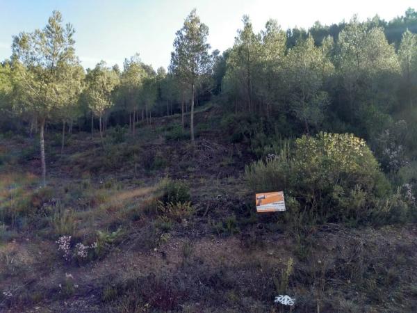 Terreno en El Pont de Vilomara i Rocafort photo 3