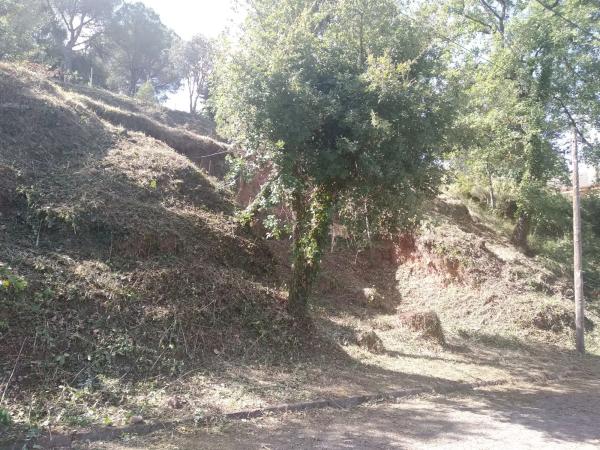 Terreno en calle mura s/n photo 3