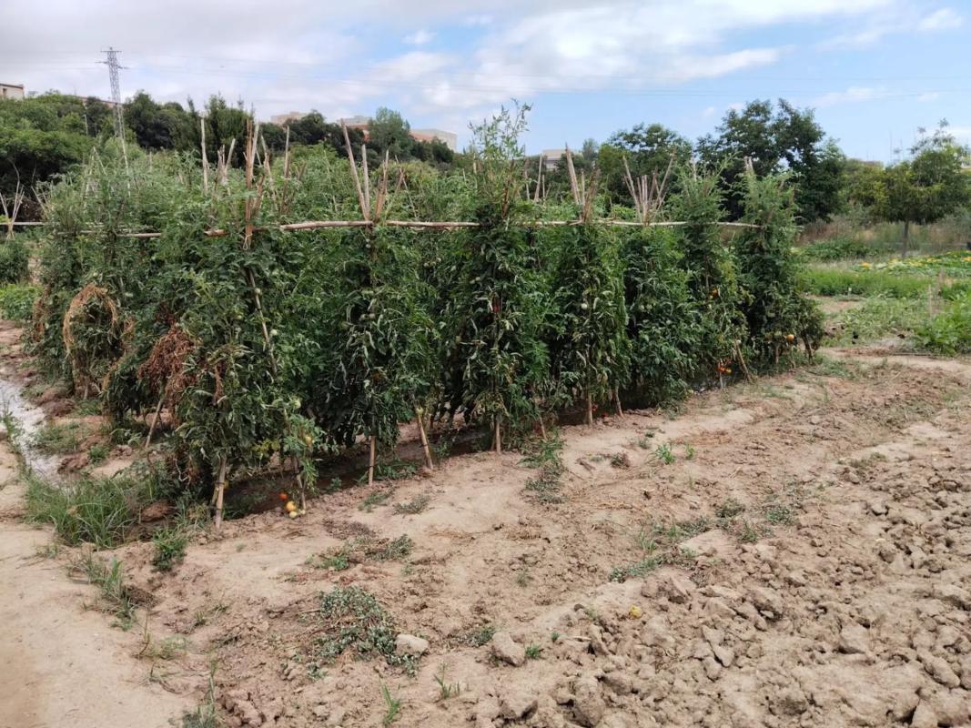 Terreno en venta en Martorell, Barcelona photo 5
