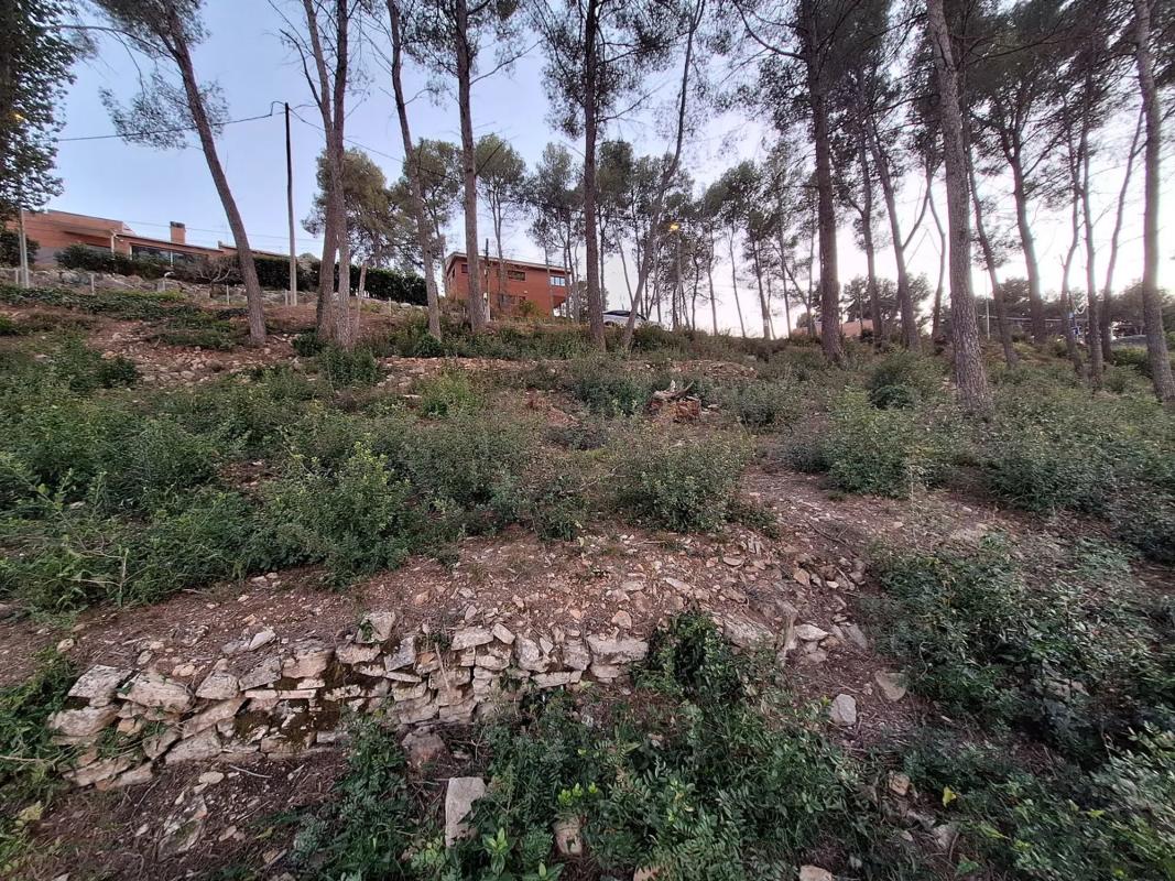 Terreno en venta en Corbera de Llobregat, Barcelona photo 4