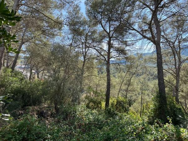 Terreno en avenida dels Països Catalans, 25 photo 3