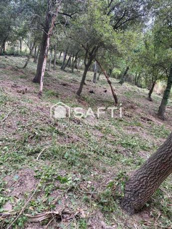 Terreno en Cervelló photo 3