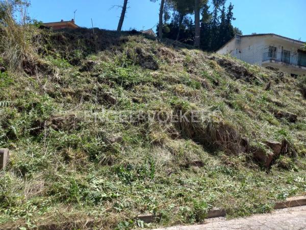 Terreno en Cervelló photo 4