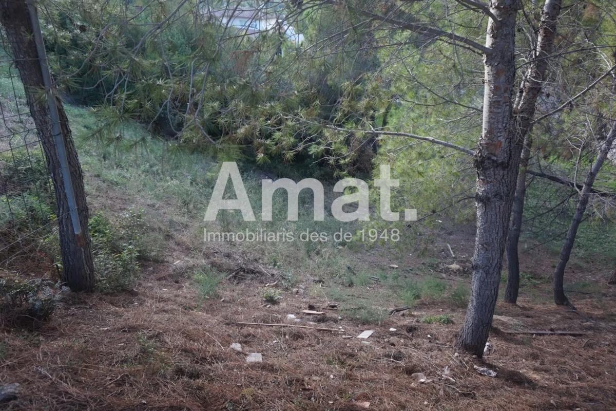 Land for sale in El Papiol, Barcelona photo 5