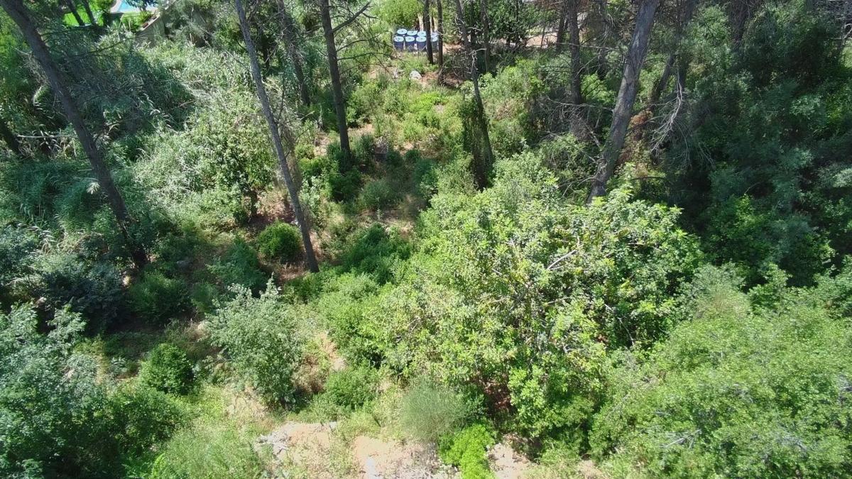 Terreno en venta en La Palma de Cervelló, Barcelona photo 2