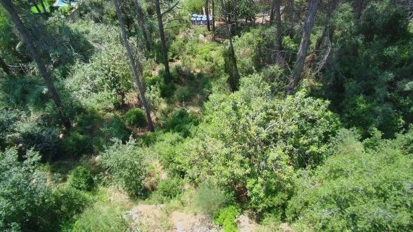 Terreno en calle Empordà, 39 photo 2