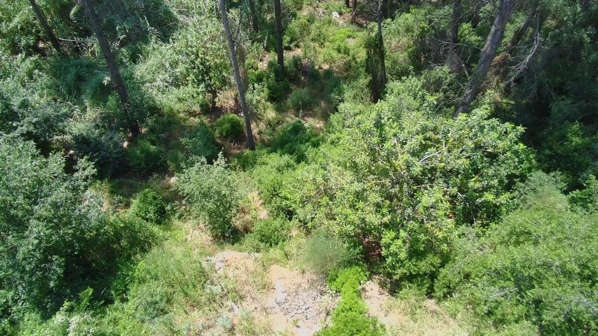 Terreno en venta en La Palma de Cervelló, Barcelona photo 3