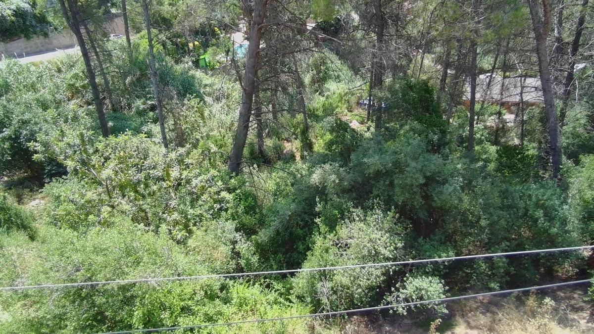 Terreno en venta en La Palma de Cervelló, Barcelona photo 4