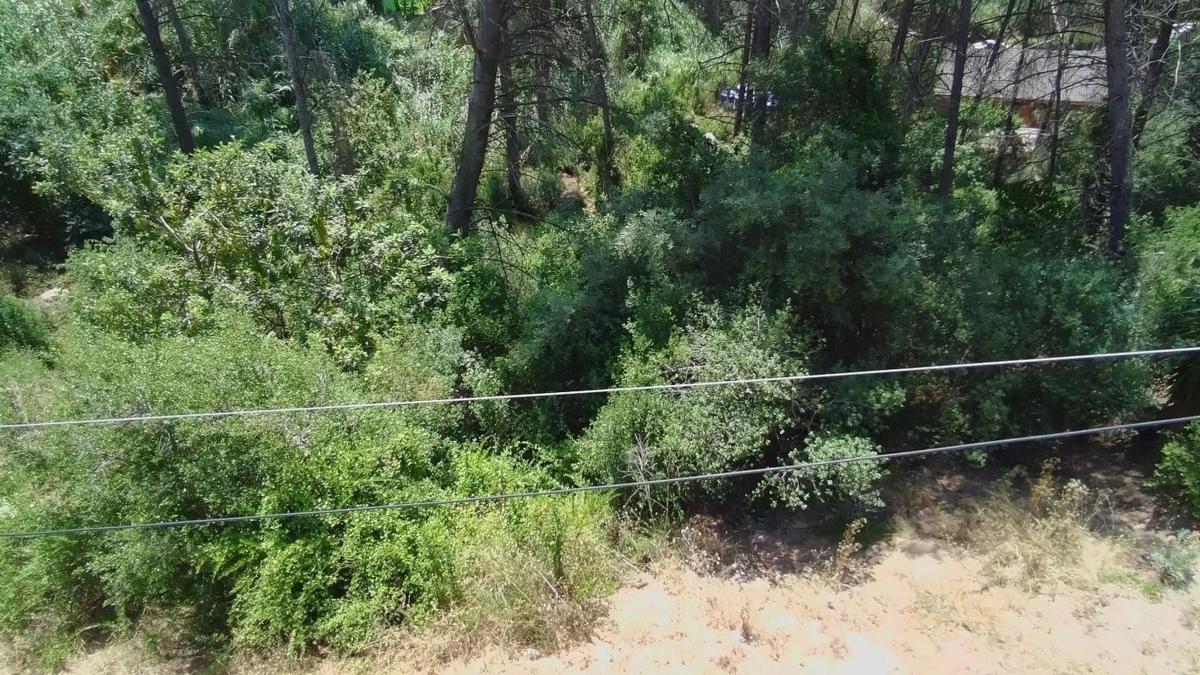 Terreno en venta en La Palma de Cervelló, Barcelona photo 5