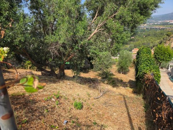 Terreno en Abrera photo 1