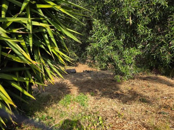 Terreno en Abrera photo 3