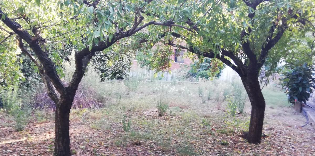 Terreno en venta en Vallirana, Barcelona photo 5