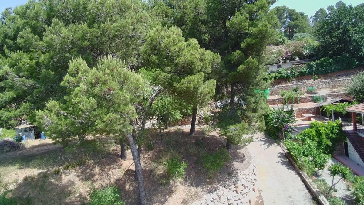 Terreno en venta en Cervelló, Barcelona photo 3