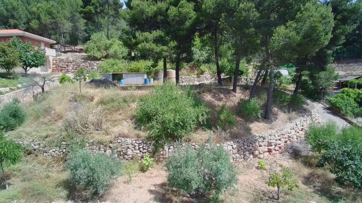 Terreno en venta en Cervelló, Barcelona photo 5