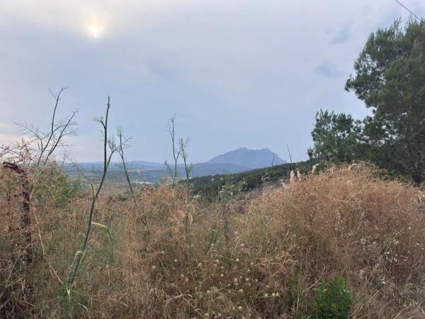 Terreno en calle Murcia photo 1