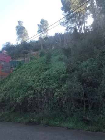 Terreno en calle Isaac Albéniz, 4 photo 2