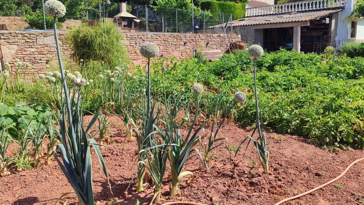 Terreno en venta en Corbera de Llobregat, Barcelona photo 4
