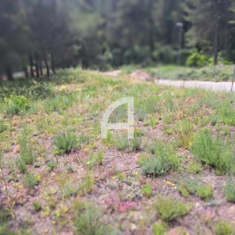 Terreno en calle de Martorell thumbnail 2