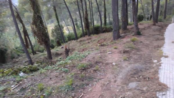 Terreno en avenida de la Mare de Déu de Lourdes, 123 thumbnail 1