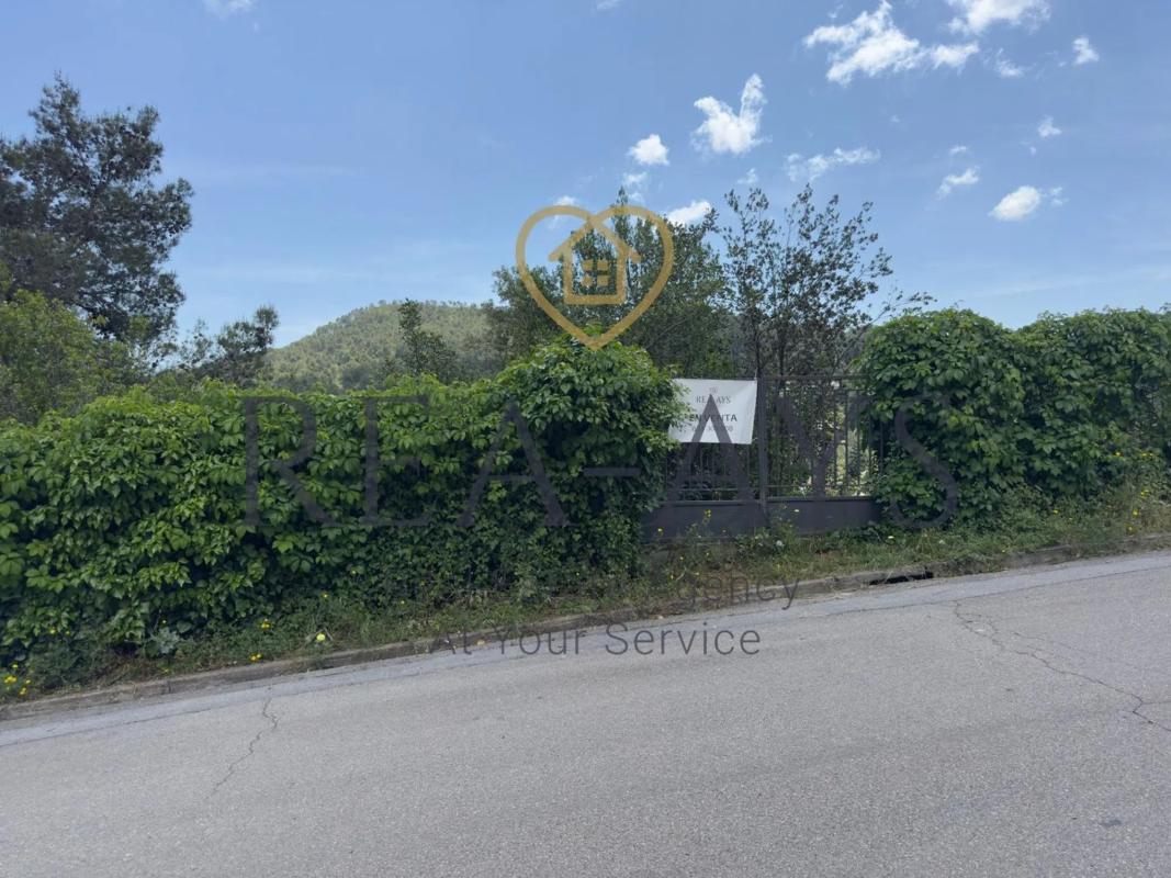Terreno en venta en Vallirana, Barcelona photo 5